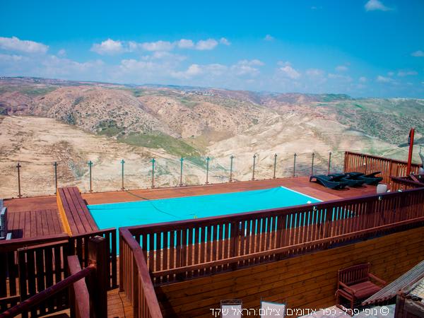 הבריכה בחצר